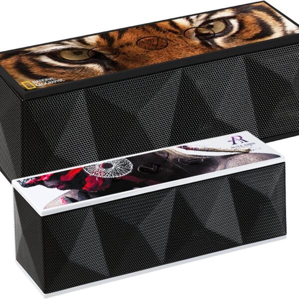 RoxBox™ Duet Bluetooth® Speaker Thumbnail